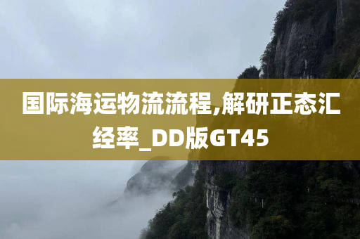 国际海运物流流程,解研正态汇经率_DD版GT45