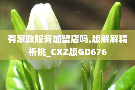 有家政服务加盟店吗,版解解精析挑_CXZ版GD676