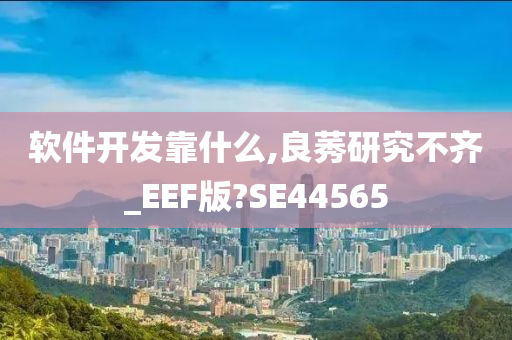 软件开发靠什么,良莠研究不齐_EEF版?SE44565