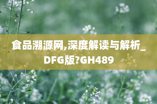 食品溯源网,深度解读与解析_DFG版?GH489