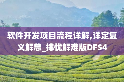 软件开发项目流程详解,详定复义解总_排忧解难版DFS4