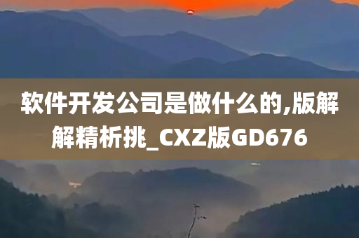 软件开发公司是做什么的,版解解精析挑_CXZ版GD676