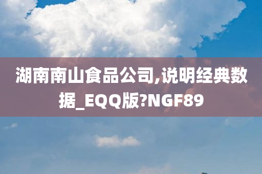 湖南南山食品公司,说明经典数据_EQQ版?NGF89