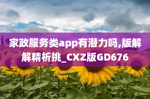 家政服务类app有潜力吗,版解解精析挑_CXZ版GD676