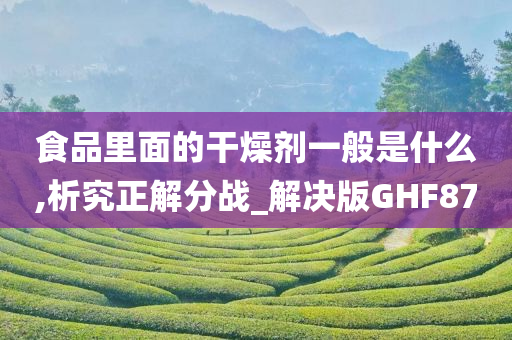 食品里面的干燥剂一般是什么,析究正解分战_解决版GHF87