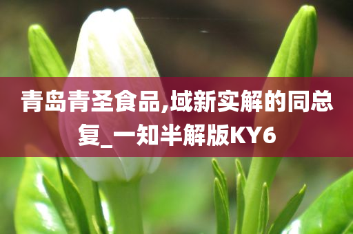 青岛青圣食品,域新实解的同总复_一知半解版KY6