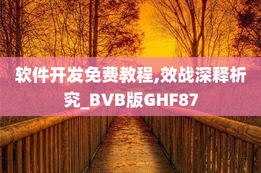 软件开发免费教程,效战深释析究_BVB版GHF87