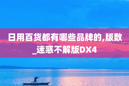 日用百货都有哪些品牌的,版数_迷惑不解版DX4