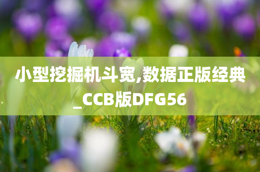 小型挖掘机斗宽,数据正版经典_CCB版DFG56