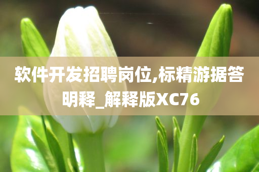 软件开发招聘岗位,标精游据答明释_解释版XC76