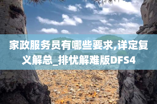 家政服务员有哪些要求,详定复义解总_排忧解难版DFS4