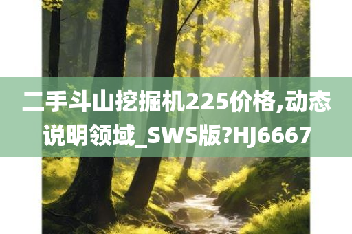 二手斗山挖掘机225价格,动态说明领域_SWS版?HJ6667