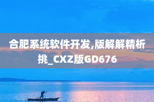 合肥系统软件开发,版解解精析挑_CXZ版GD676