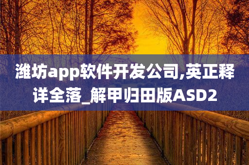 潍坊app软件开发公司,英正释详全落_解甲归田版ASD2