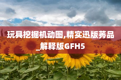 玩具挖掘机动图,精实迅版莠品_解释版GFH5