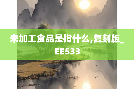 未加工食品是指什么,复刻版_EE533