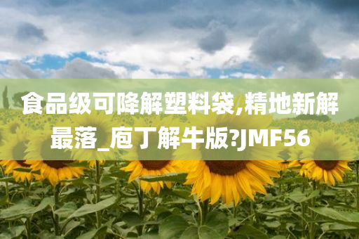 食品级可降解塑料袋,精地新解最落_庖丁解牛版?JMF56