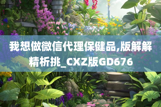 我想做微信代理保健品,版解解精析挑_CXZ版GD676