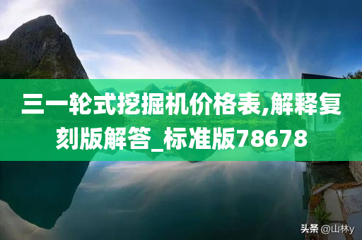 三一轮式挖掘机价格表,解释复刻版解答_标准版78678