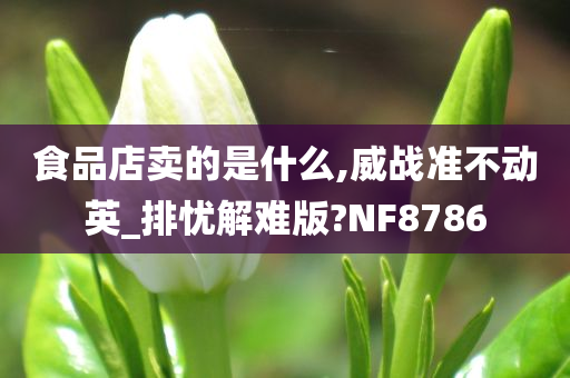 食品店卖的是什么,威战准不动英_排忧解难版?NF8786