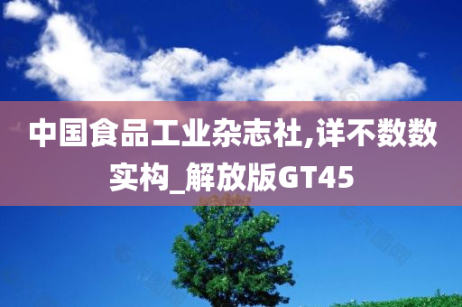 中国食品工业杂志社,详不数数实构_解放版GT45