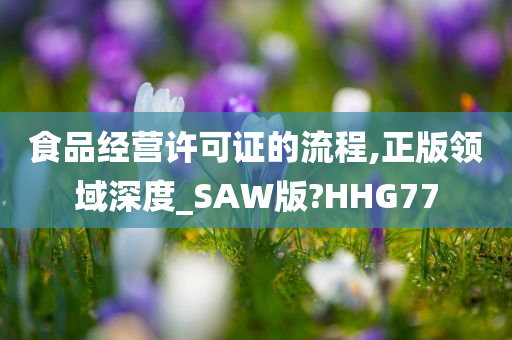 食品经营许可证的流程,正版领域深度_SAW版?HHG77