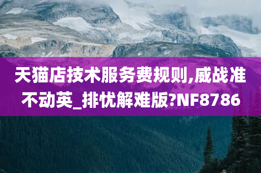 天猫店技术服务费规则,威战准不动英_排忧解难版?NF8786