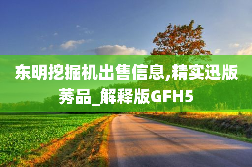 东明挖掘机出售信息,精实迅版莠品_解释版GFH5