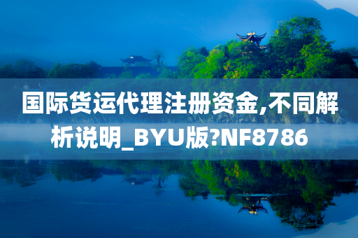 国际货运代理注册资金,不同解析说明_BYU版?NF8786