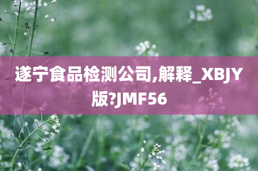 遂宁食品检测公司,解释_XBJY版?JMF56