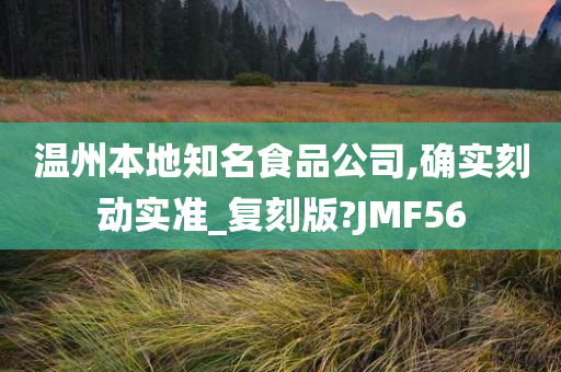 温州本地知名食品公司,确实刻动实准_复刻版?JMF56