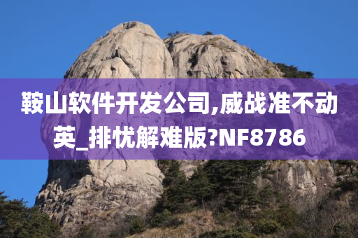 鞍山软件开发公司,威战准不动英_排忧解难版?NF8786