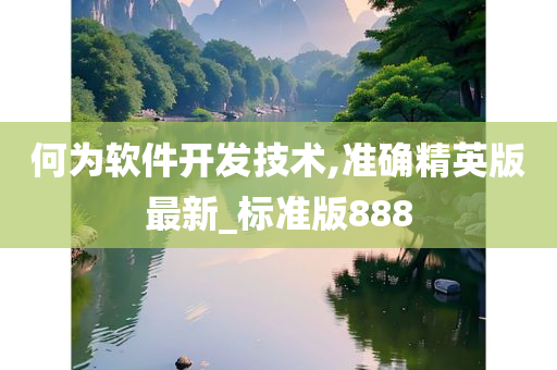 何为软件开发技术,准确精英版最新_标准版888