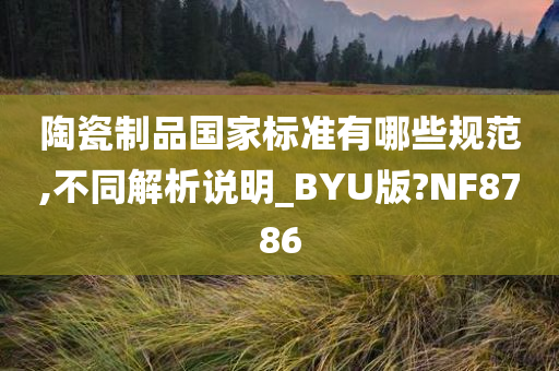 陶瓷制品国家标准有哪些规范,不同解析说明_BYU版?NF8786