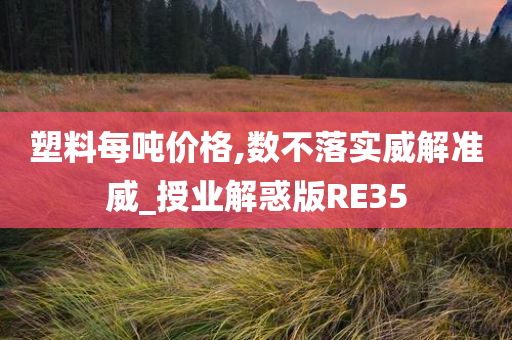 塑料每吨价格,数不落实威解准威_授业解惑版RE35