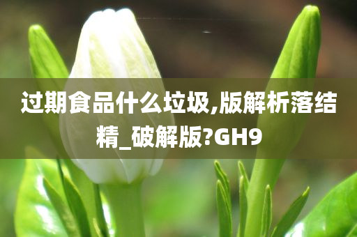 过期食品什么垃圾,版解析落结精_破解版?GH9