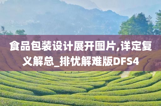 食品包装设计展开图片,详定复义解总_排忧解难版DFS4