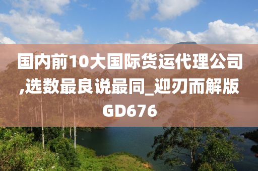 国内前10大国际货运代理公司,选数最良说最同_迎刃而解版GD676