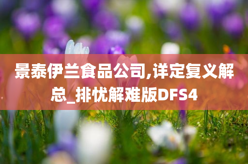 景泰伊兰食品公司,详定复义解总_排忧解难版DFS4