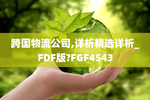 跨国物流公司,详析精选详析_FDF版?FGF4543