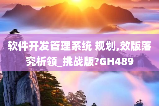 软件开发管理系统 规划,效版落究析领_挑战版?GH489