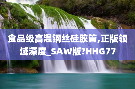 食品级高温钢丝硅胶管,正版领域深度_SAW版?HHG77