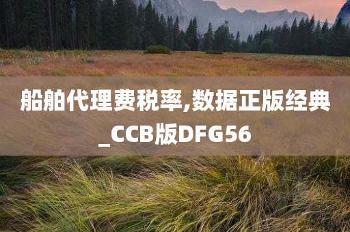 船舶代理费税率,数据正版经典_CCB版DFG56