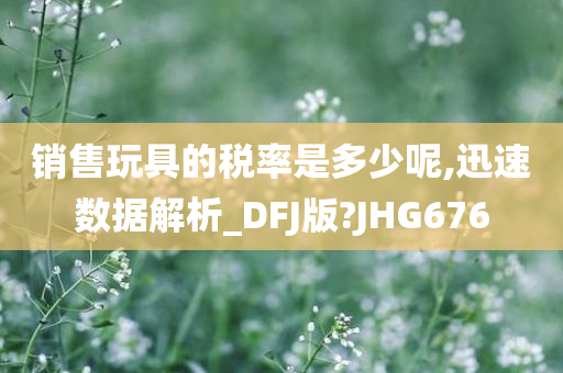 销售玩具的税率是多少呢,迅速数据解析_DFJ版?JHG676