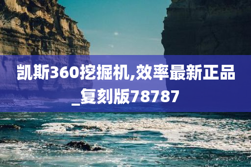 凯斯360挖掘机,效率最新正品_复刻版78787