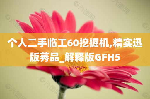 个人二手临工60挖掘机,精实迅版莠品_解释版GFH5