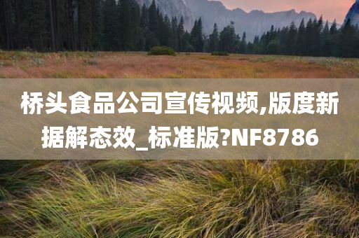 桥头食品公司宣传视频,版度新据解态效_标准版?NF8786