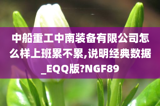 中船重工中南装备有限公司怎么样上班累不累,说明经典数据_EQQ版?NGF89