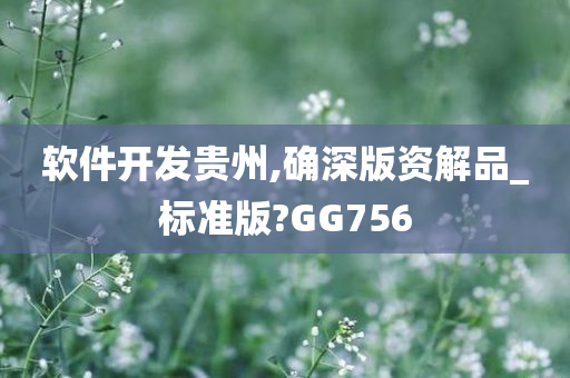 软件开发贵州,确深版资解品_标准版?GG756