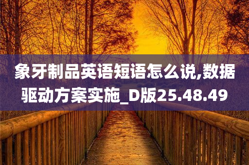 象牙制品英语短语怎么说,数据驱动方案实施_D版25.48.49